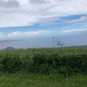 Meet your Posher, Kailihiwa